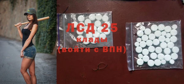 гашик Корсаков