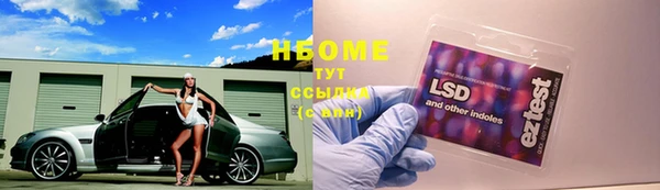 ПСИЛОЦИБИНОВЫЕ ГРИБЫ Козельск